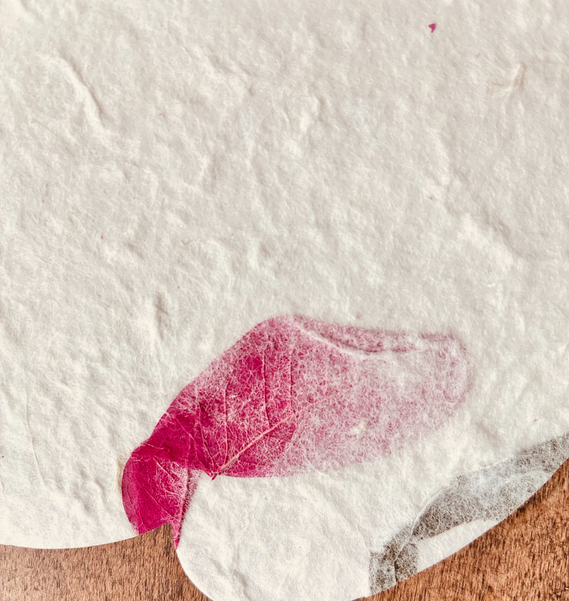 Close-up of a pink leaf embedded in handmade floral paper