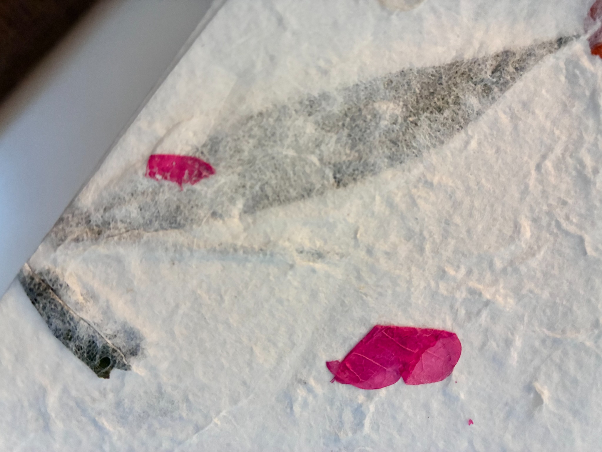 Close-up of pink and grey botanicals embedded in handmade paper