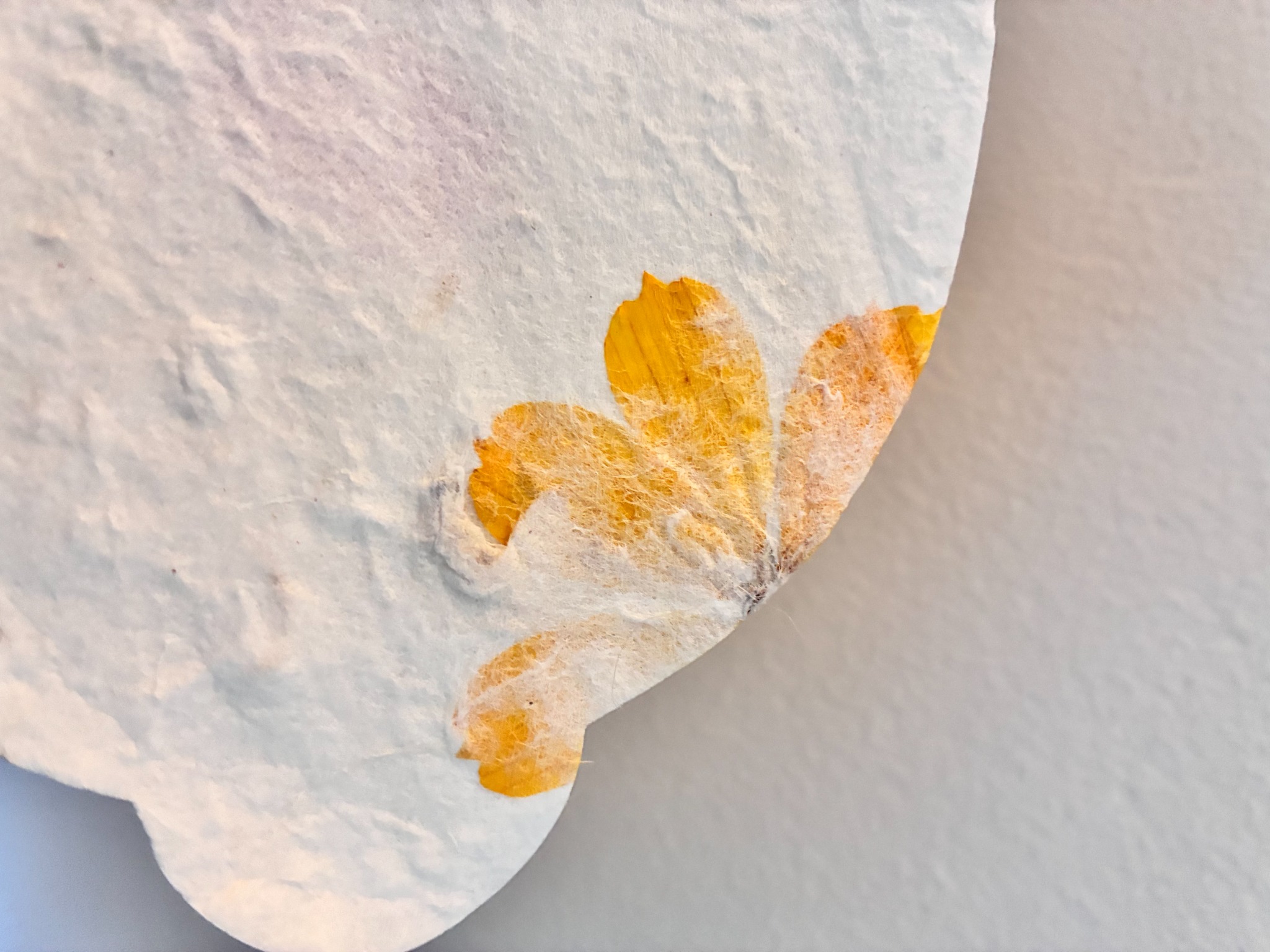 Close-up of a yellow flower embedded in handmade paper